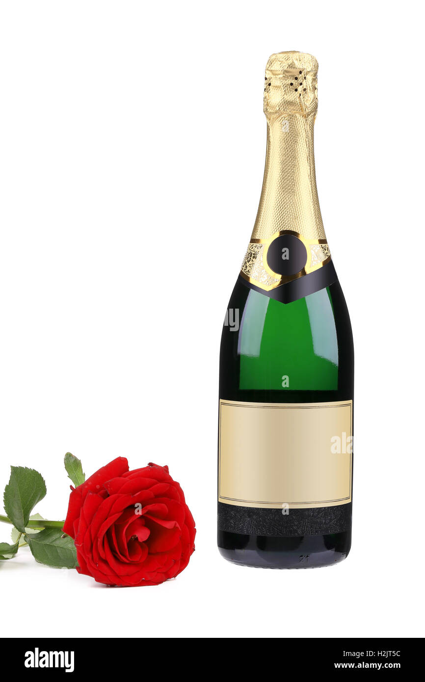 Champagne bottle and red rose. Stock Photo
