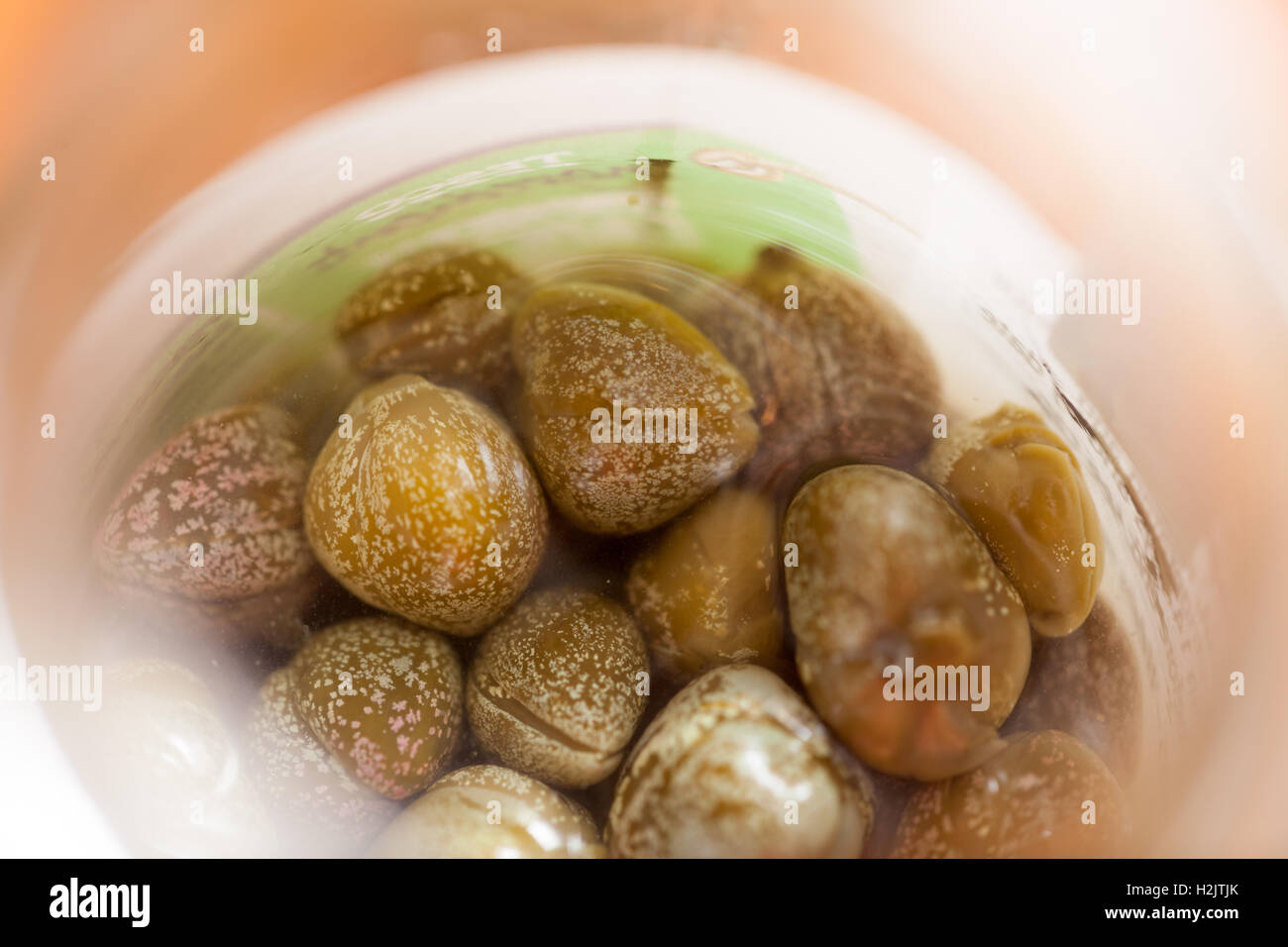 Capers in a jar Stock Photo Alamy