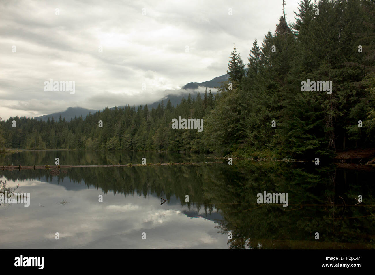 A peaceful cloudy afternoon at Four Stump Lake, BC Stock Photo Alamy