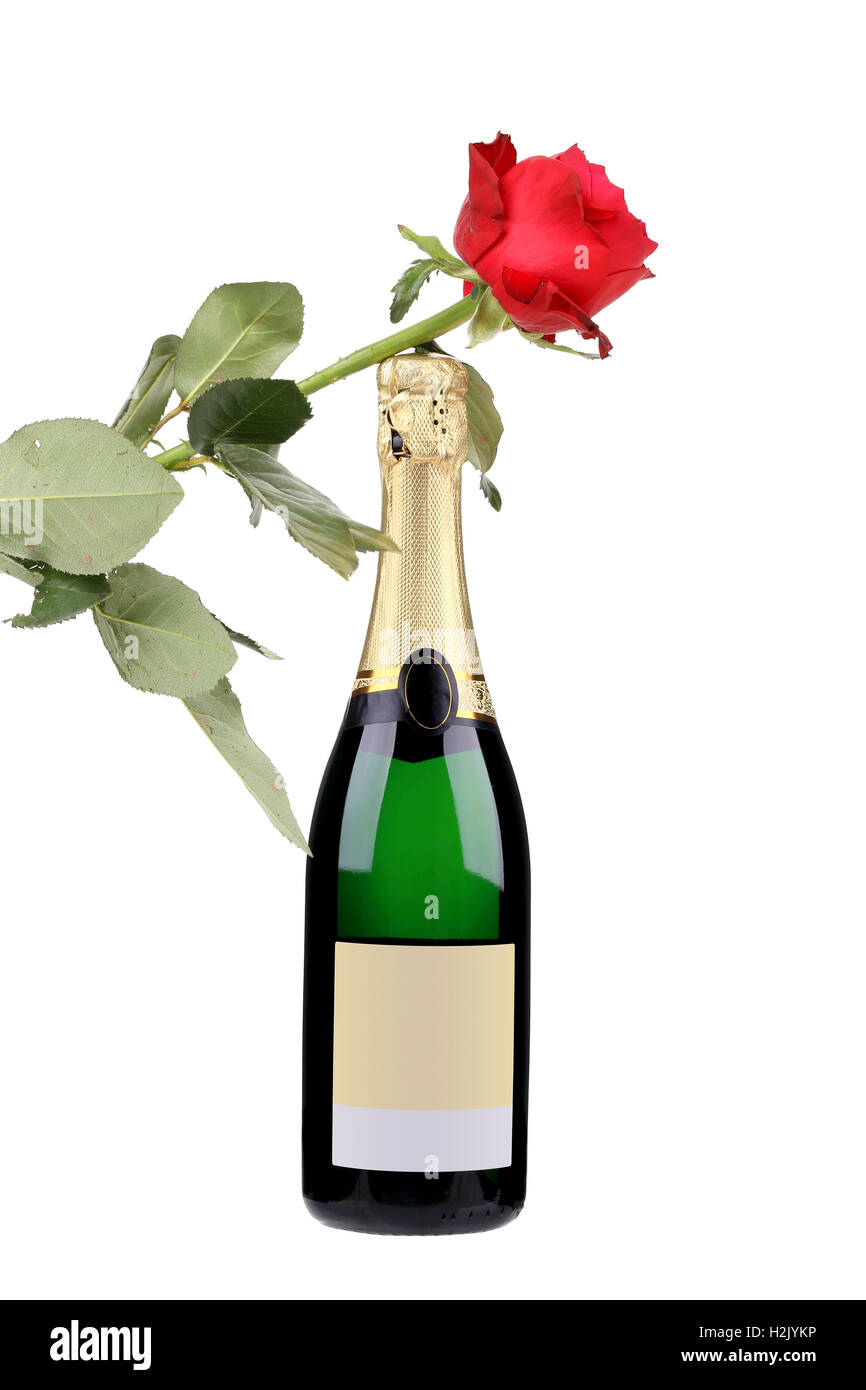Champagne bottle and red rose. Stock Photo
