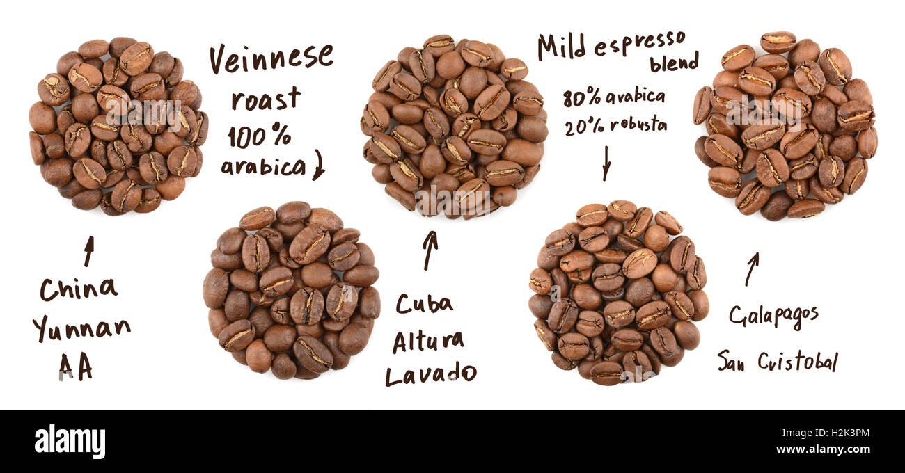 Collection Of Roasted Coffee Beans Name Coffees Collection Of Roasted Coffee Beans Name Coffees