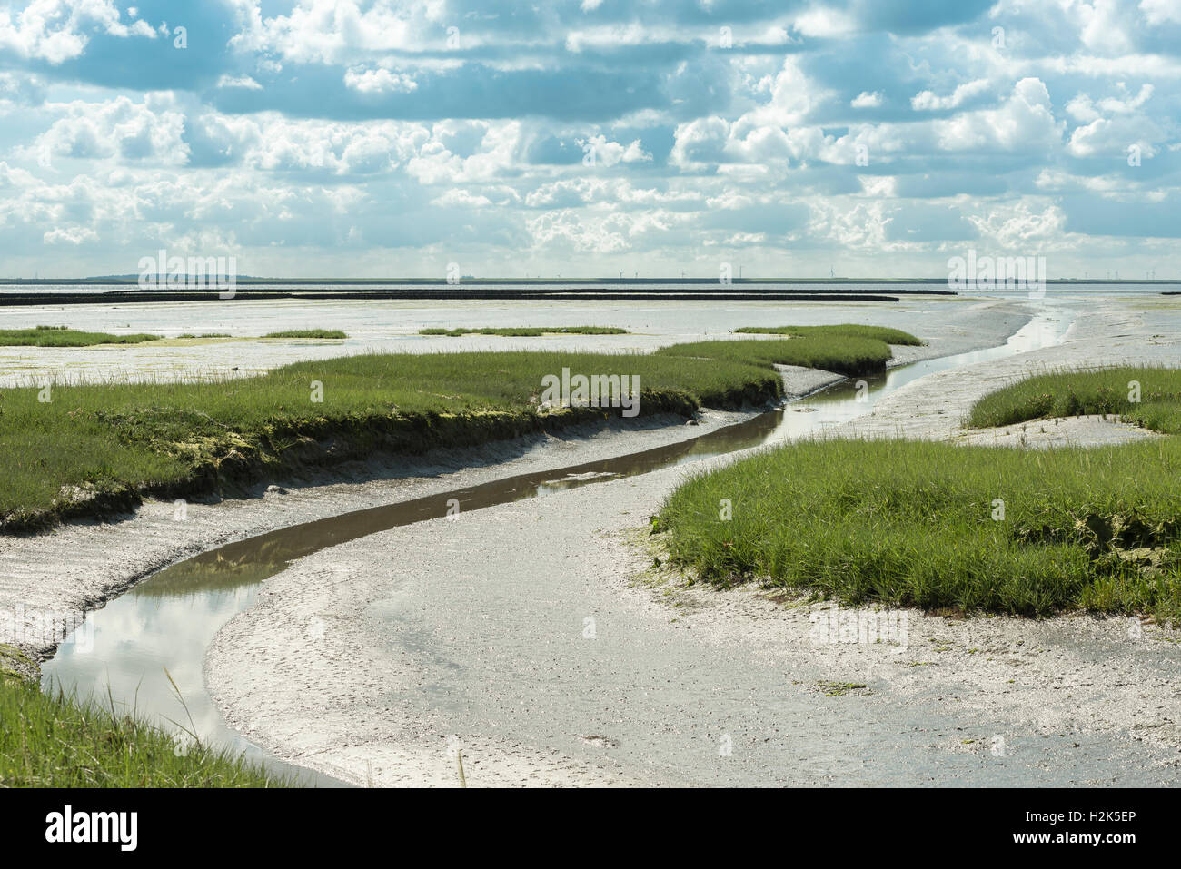 Embankment foreland Hamburger Hallig, nature reserve, national park Wadden Sea, UNESCO World Heritage Site, Reußenköge Stock Photo