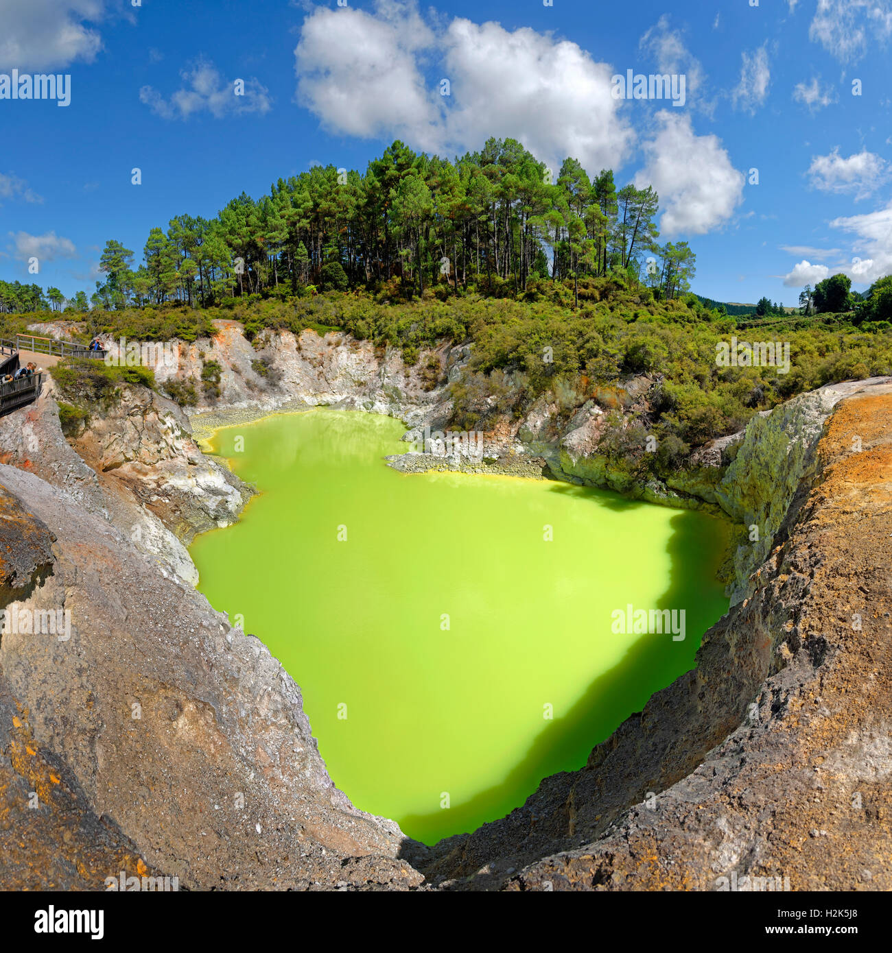 Devil's Bath thermal lake, bright green, Wai-O-Tapu thermal area, Waiotapu, Rotoua, Waikato Region, New Zealand Stock Photo