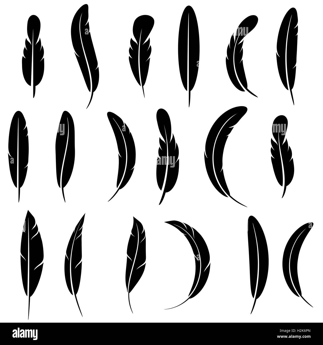 Feather Silhouette Collection Isolated Stock Vector