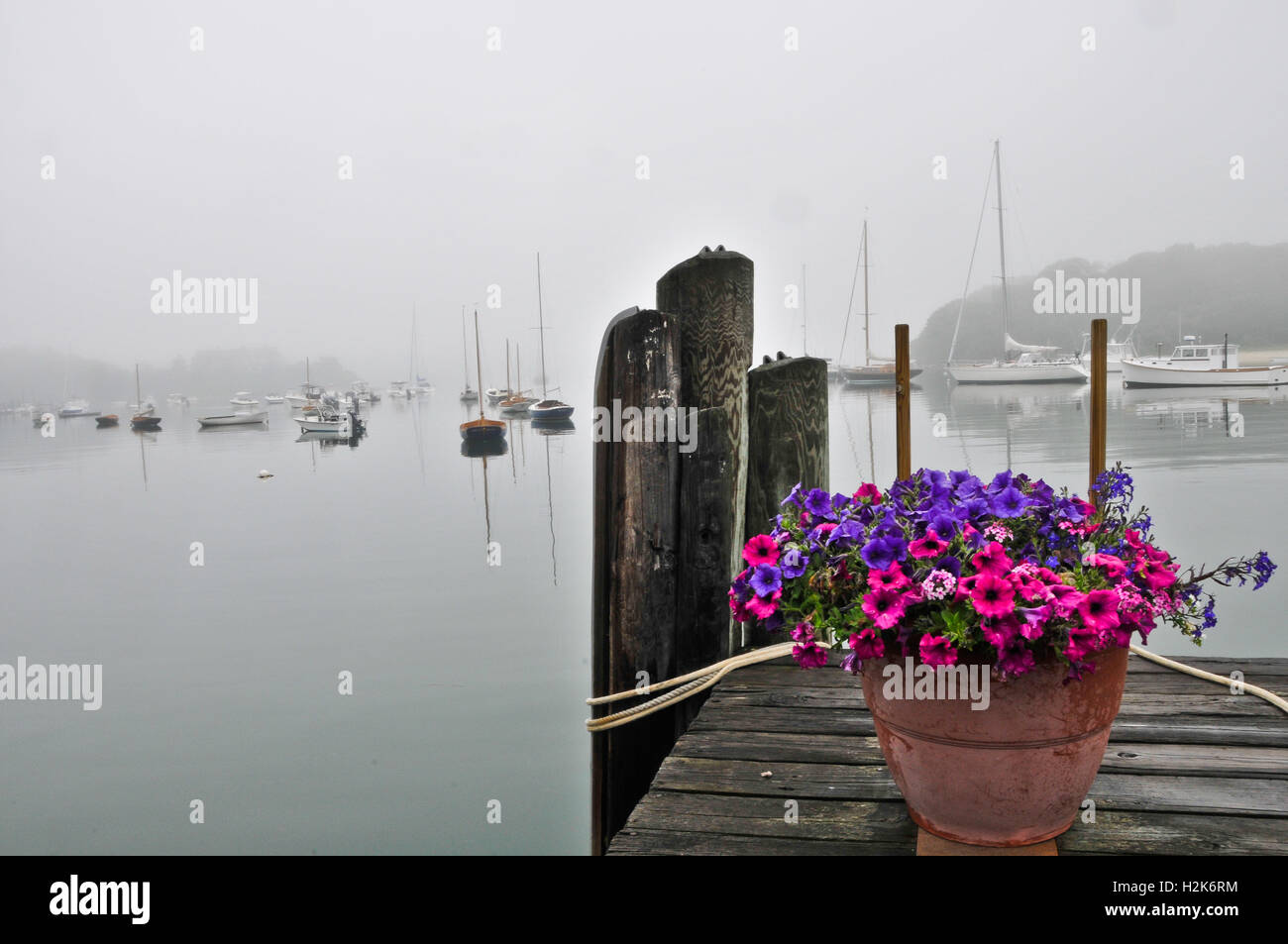 Foggy morning on the dock at Quissett Harbor Woods Hole Falmouth Massachussetts Cape Code. Stock Photo