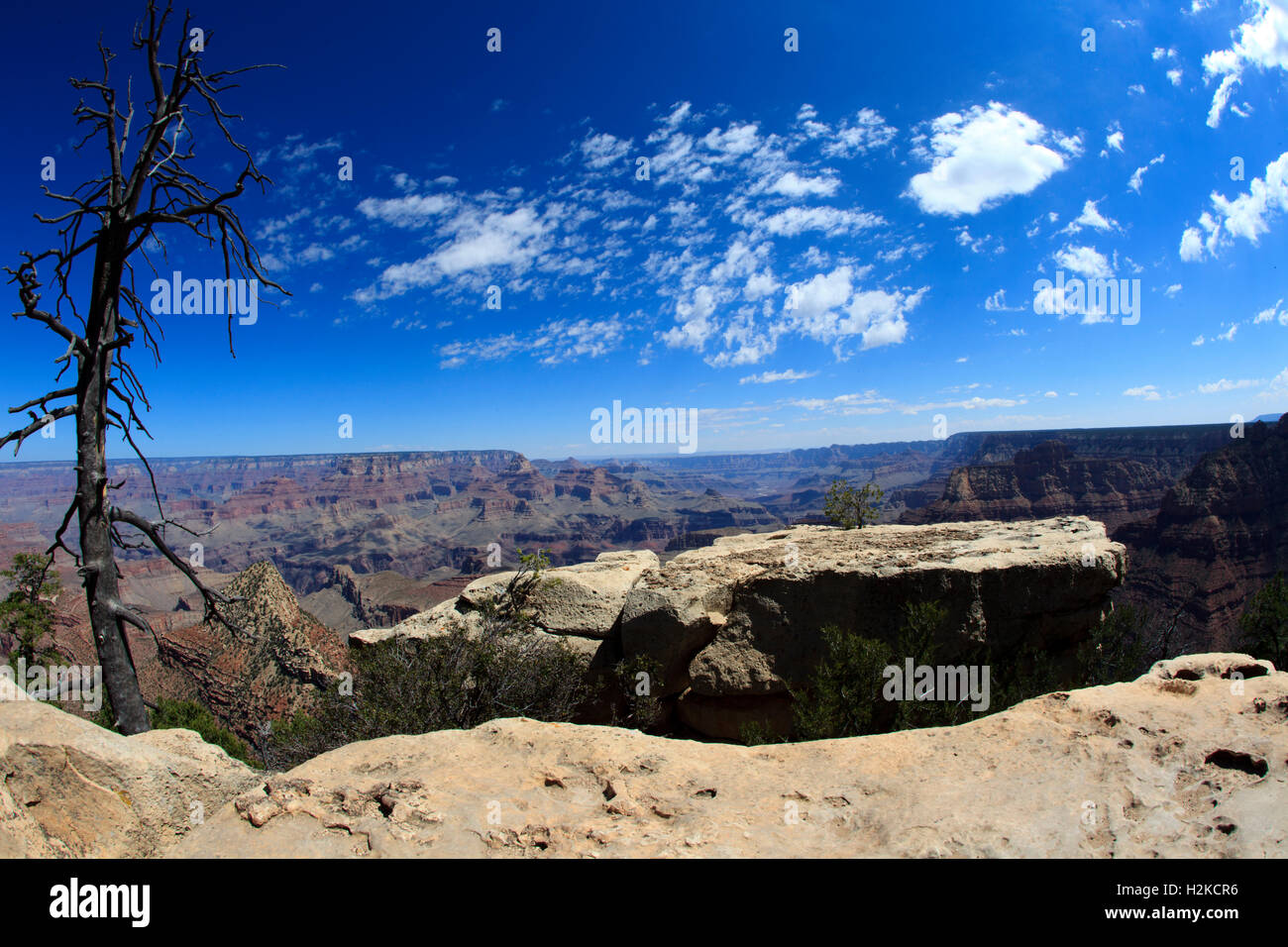 South Rim Grand Canyon, Arizona, USA Stock Photo - Alamy