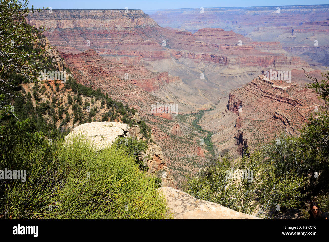 South Rim Grand Canyon, Arizona, USA Stock Photo - Alamy