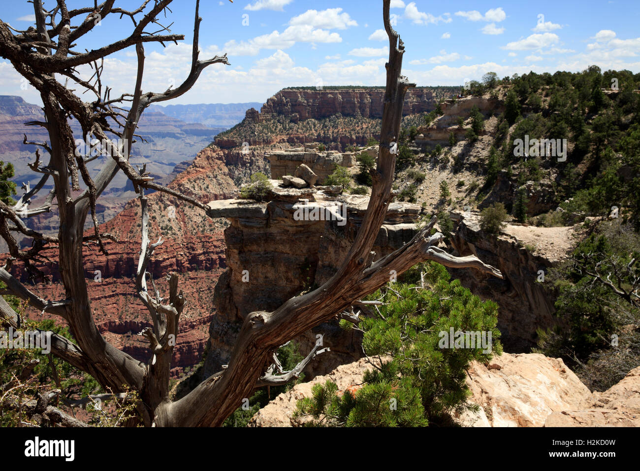 South Rim Grand Canyon, Arizona, USA Stock Photo - Alamy