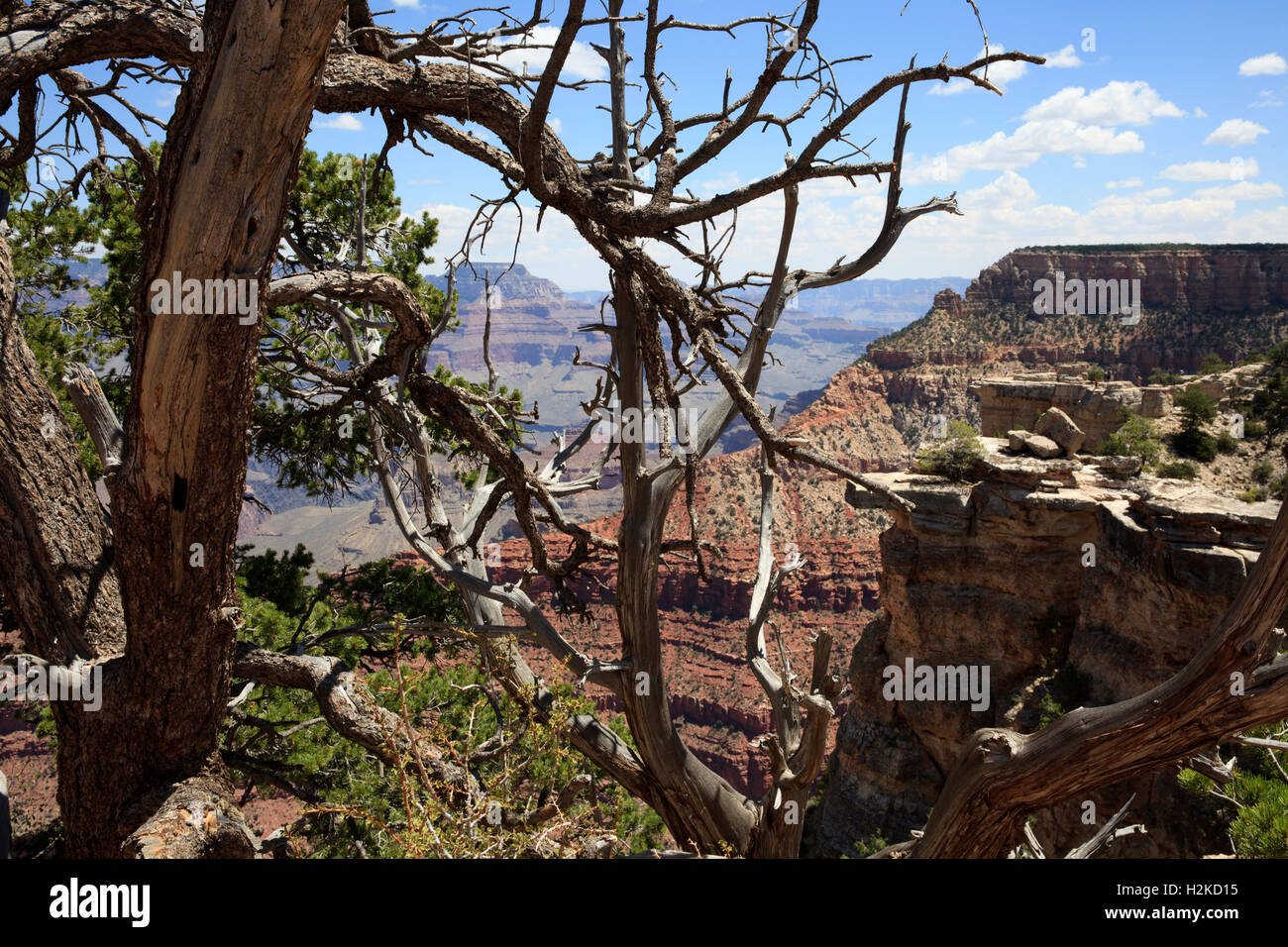 South Rim Grand Canyon, Arizona, USA Stock Photo - Alamy