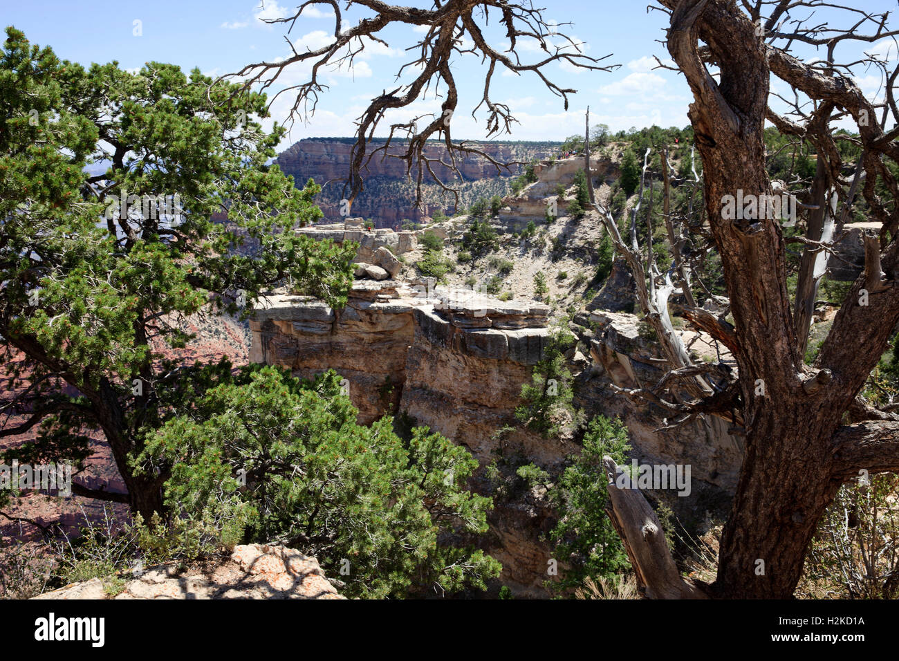 South Rim Grand Canyon, Arizona, USA Stock Photo - Alamy