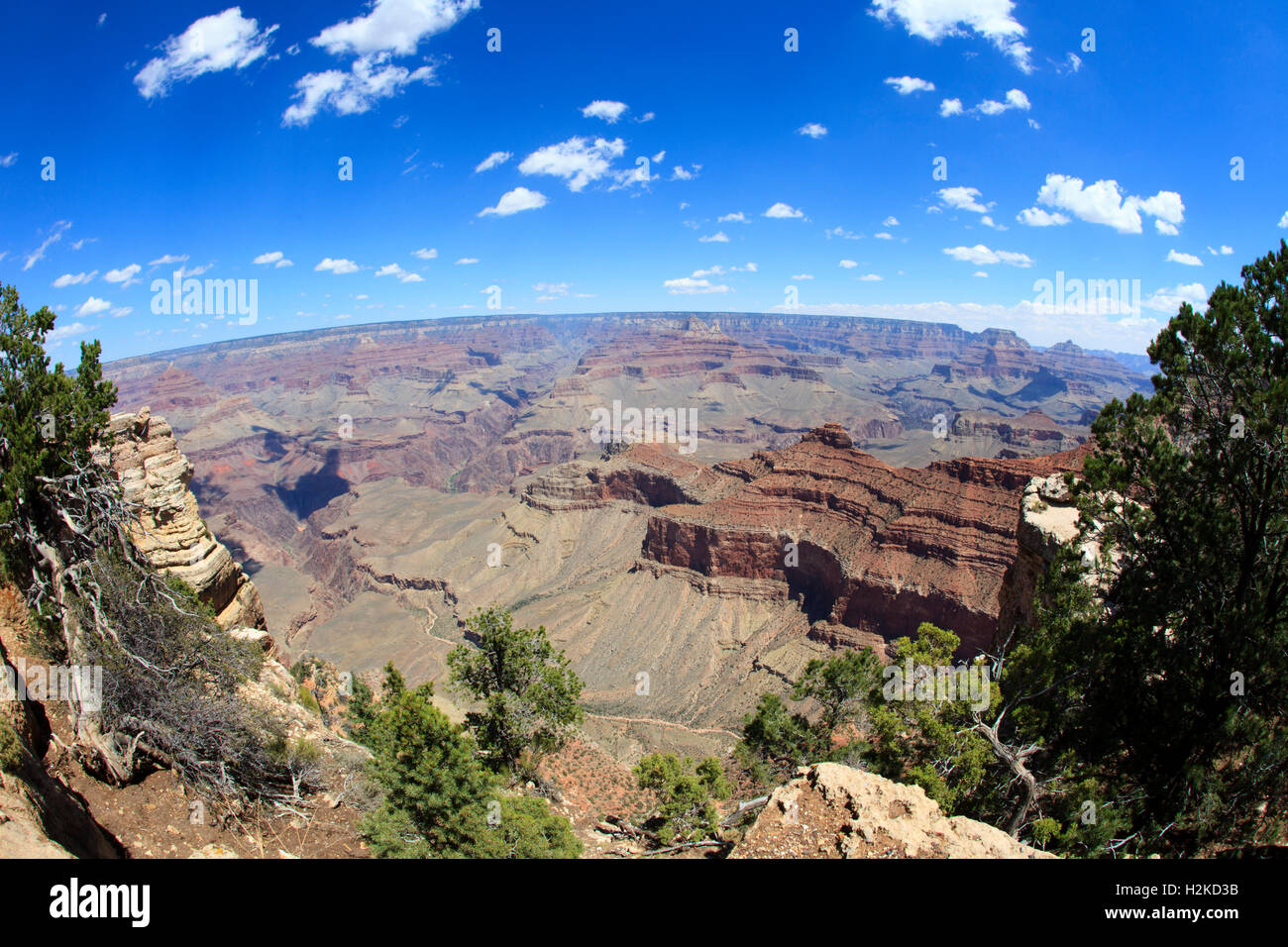 South Rim Grand Canyon, Arizona, USA Stock Photo - Alamy