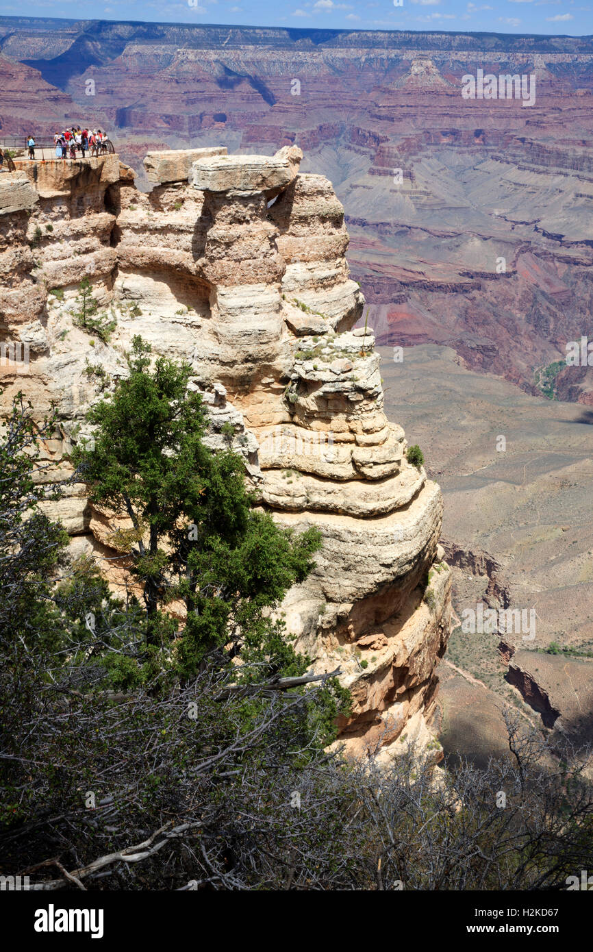 South Rim Grand Canyon, Arizona, USA Stock Photo - Alamy