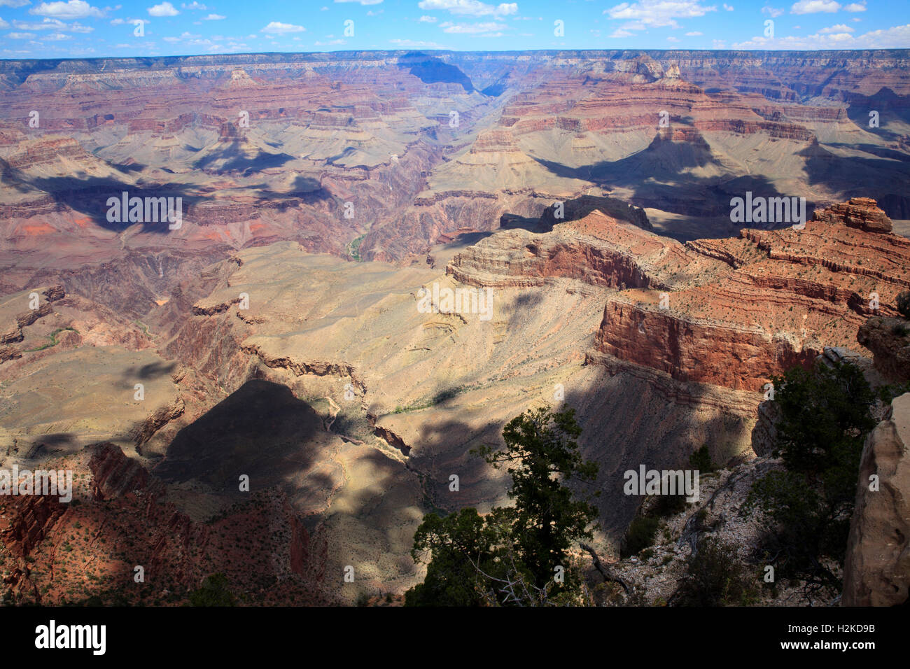 South Rim Grand Canyon, Arizona, USA Stock Photo - Alamy