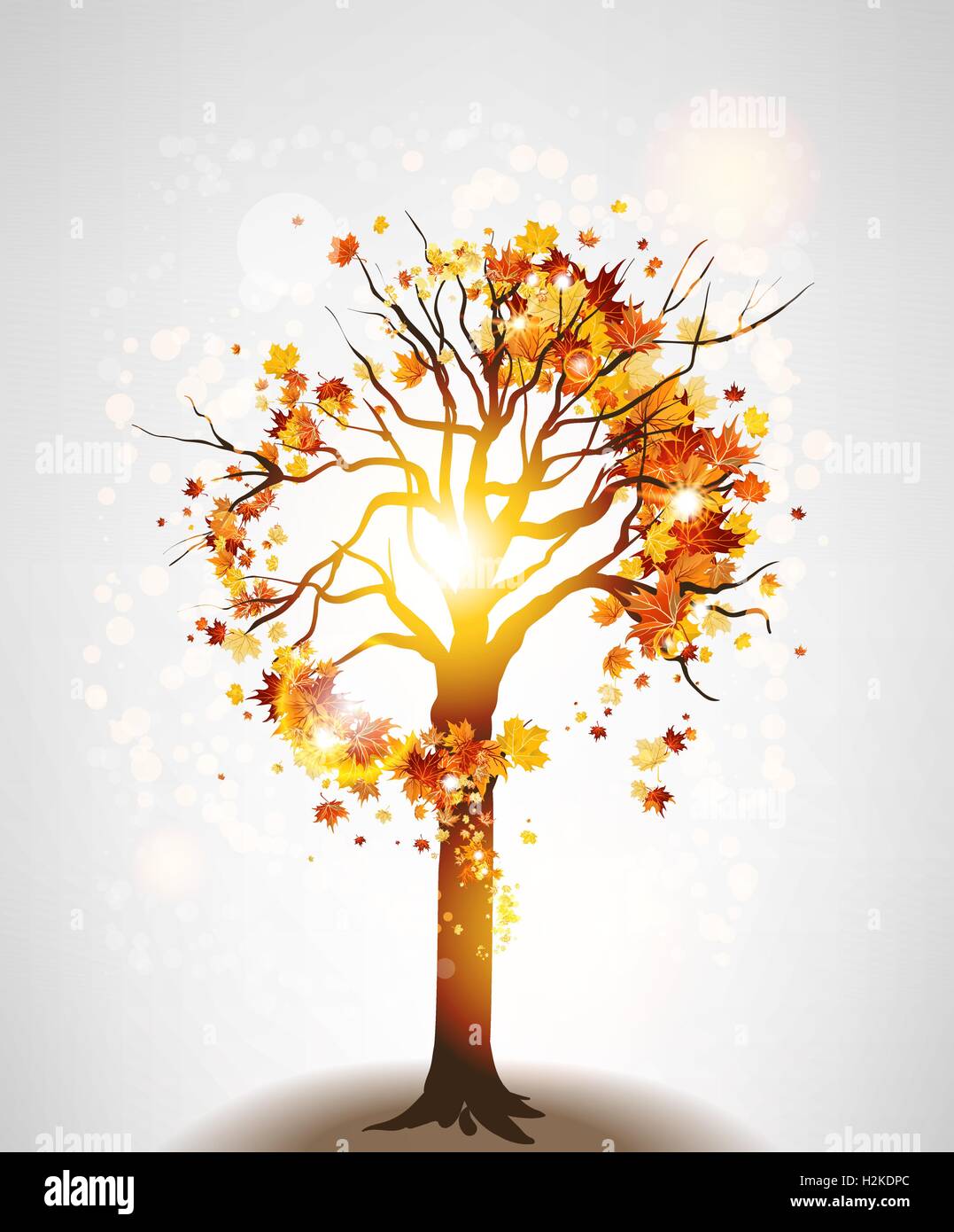 Autumn maple tree and sunlight Stock Vector Image & Art - Alamy