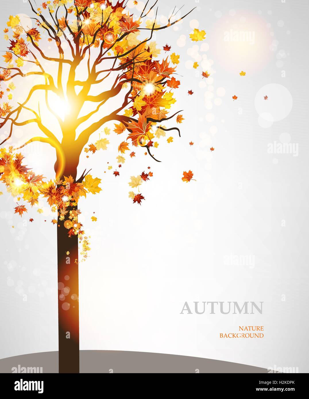 Autumn tree with beautiful leaves Stock Vector Image & Art - Alamy