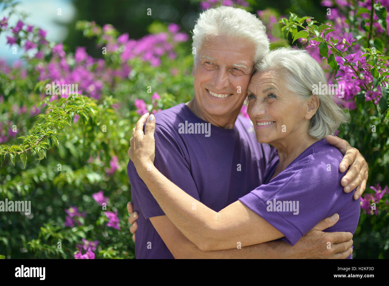 Senior couple in summer park Stock Photo - Alamy