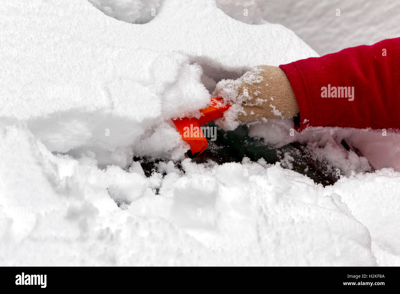 A woman uses an ice scraper to remove snow and ice from her car windscreen in winter. Warminster, Wiltshire, United Kingdom. Stock Photo