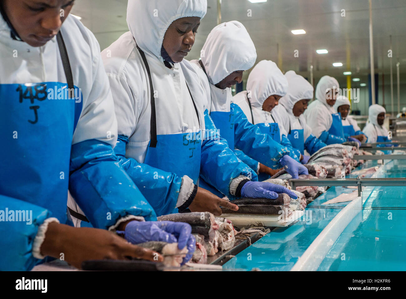 Fish Factory Africa Stock Photos & Fish Factory Africa Stock Images Alamy