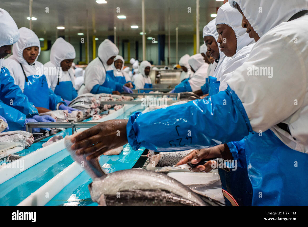 Fish Processing Africa Stock Photos & Fish Processing Africa Stock