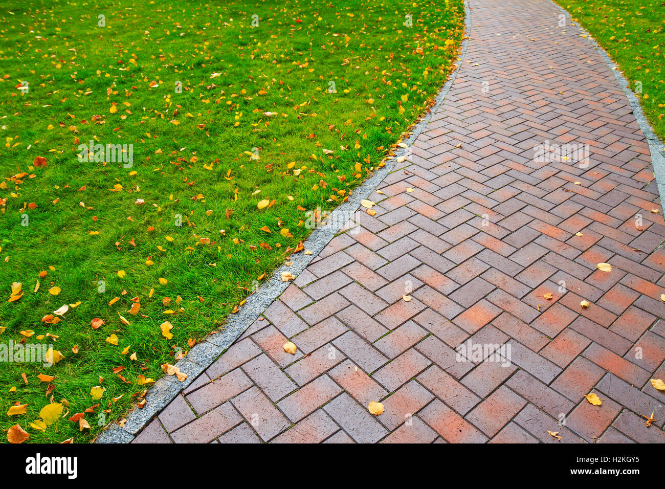 Autumn path with fallen leaves Stock Photo - Alamy