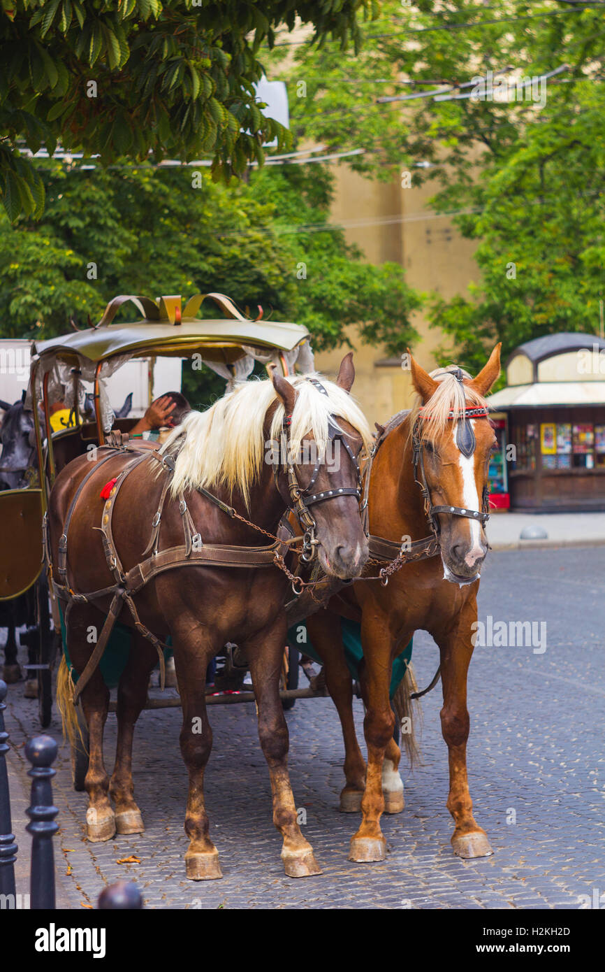 Medieval Carriage High Resolution Stock Photography and Images - Alamy