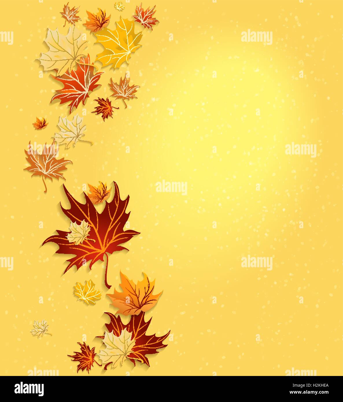 Beautiful autumn leaves Stock Vector Image & Art - Alamy