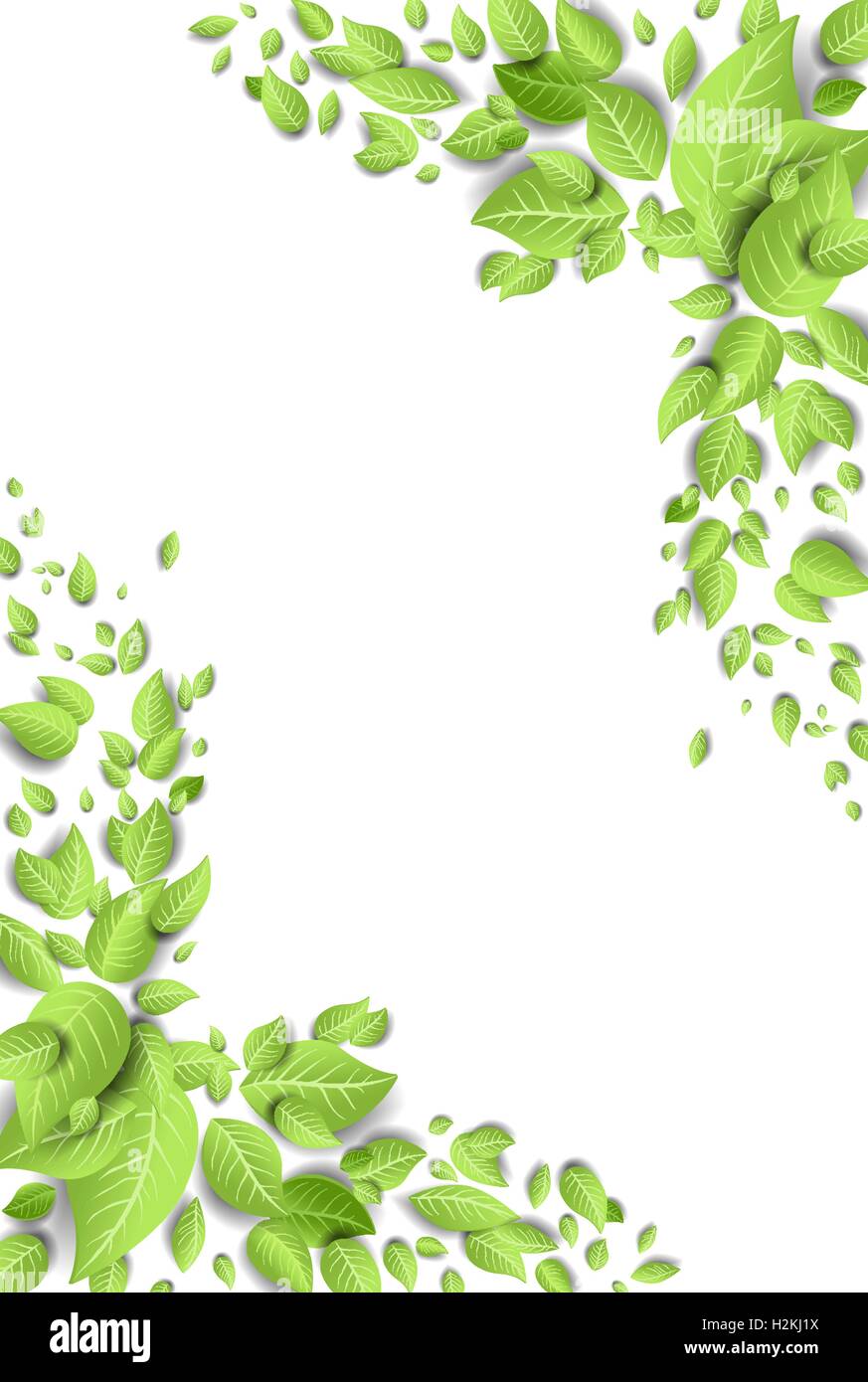 Green leaves background Stock Vector Image & Art - Alamy