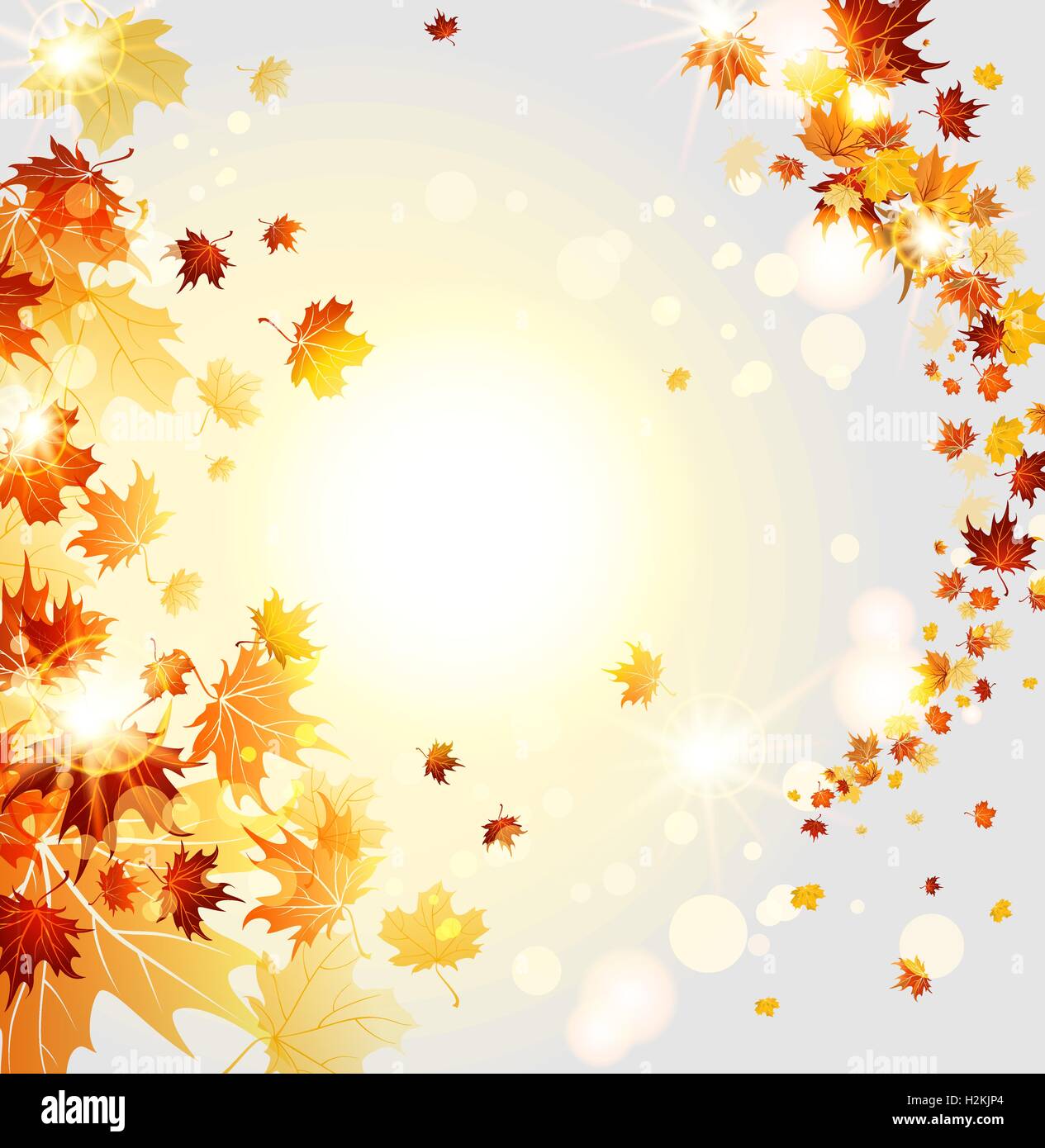 Swirl of beautiful leaves Stock Vector Image & Art - Alamy