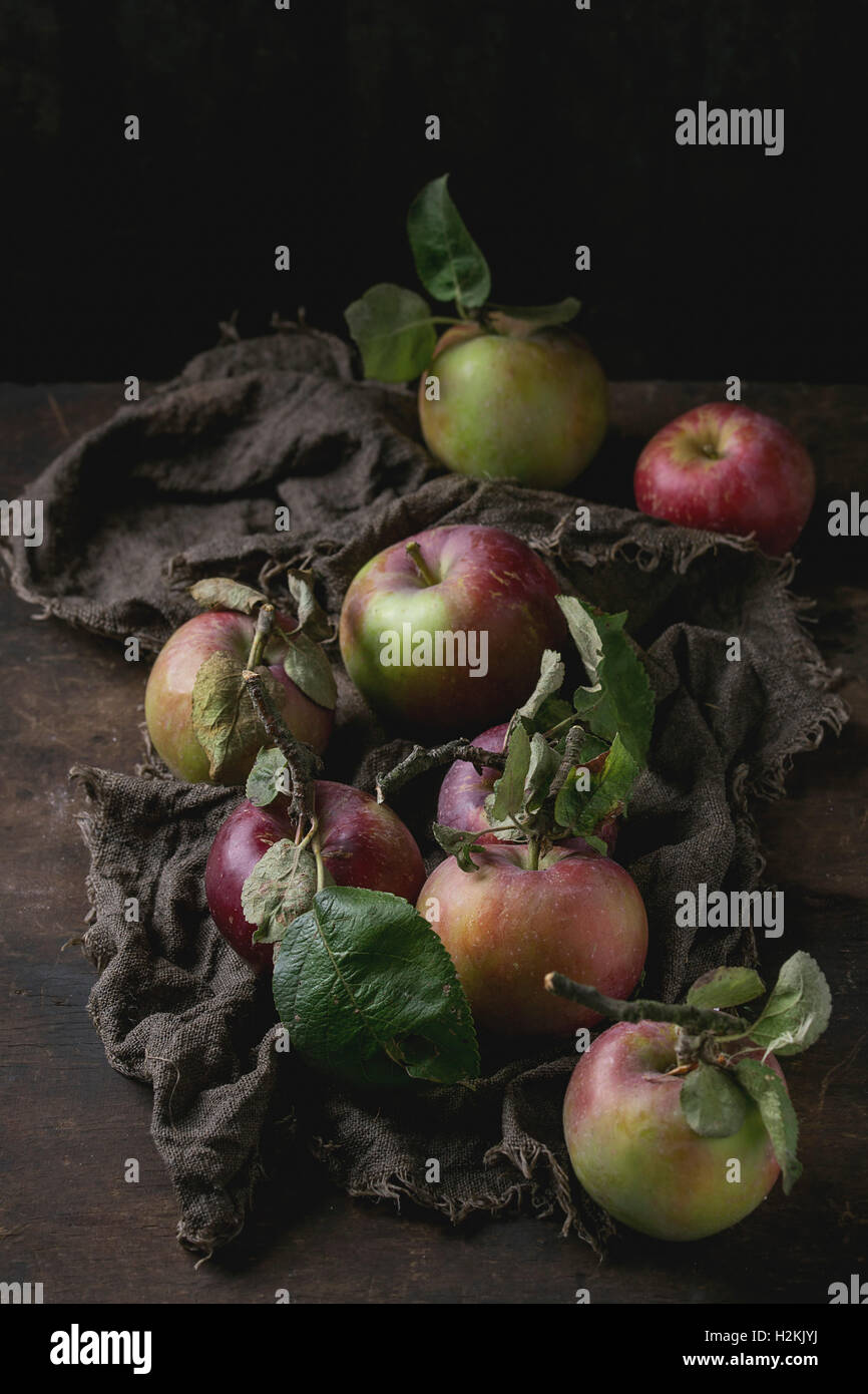 Harvest of wild apples with leaves on sackcloth rag over old wooden ...