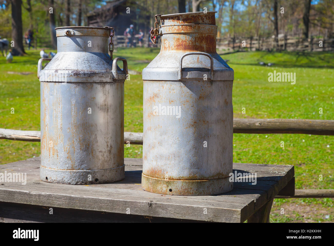 Two metal milk churns stand on wooden table over summer farm background Stock Photo