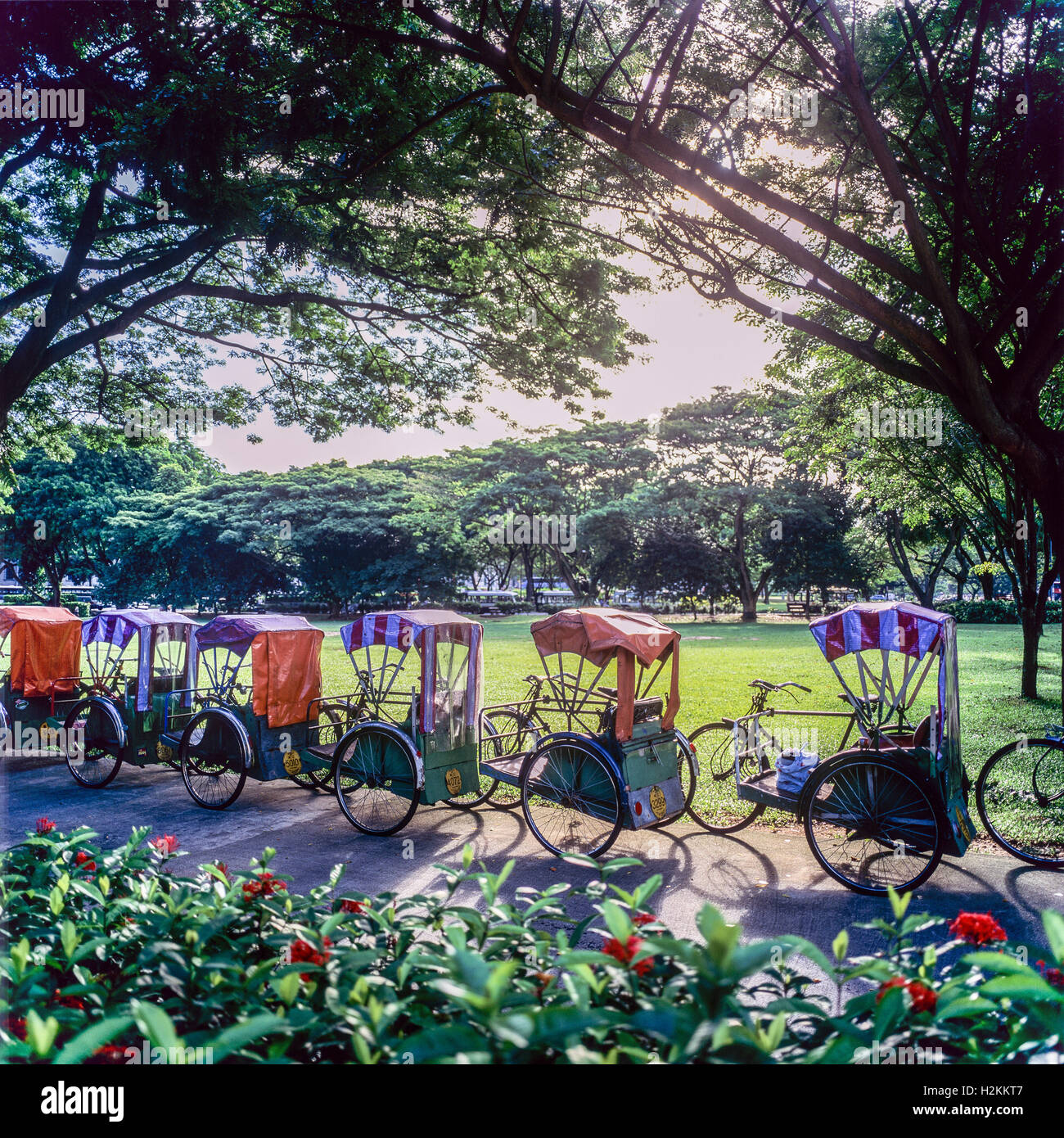 Trishaws for hire, Singapore, Asia Stock Photo