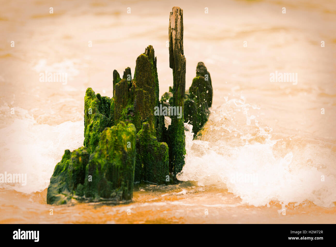 Old jetty in the ocean wave splash Stock Photo Alamy