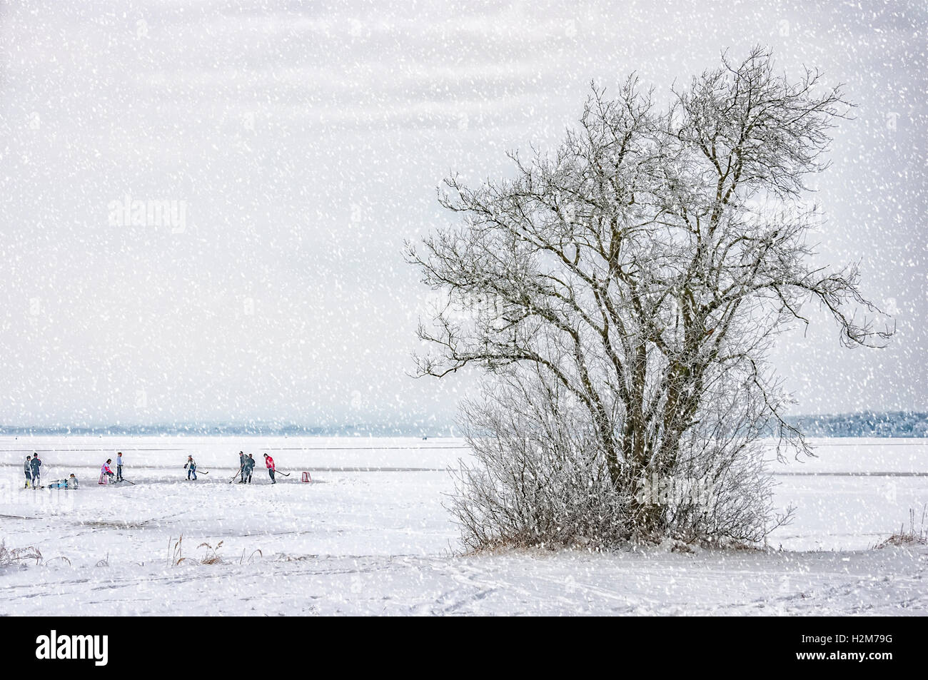 Fresh falling snow lies on a frozen lake in the Swedish countryside creating a winter wonderland. Stock Photo