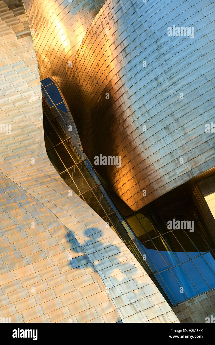 Detail of the Guggenheim Museum, Bilbao, Biscay, Basque Country, Euskadi, Spain, Europe. Stock Photo