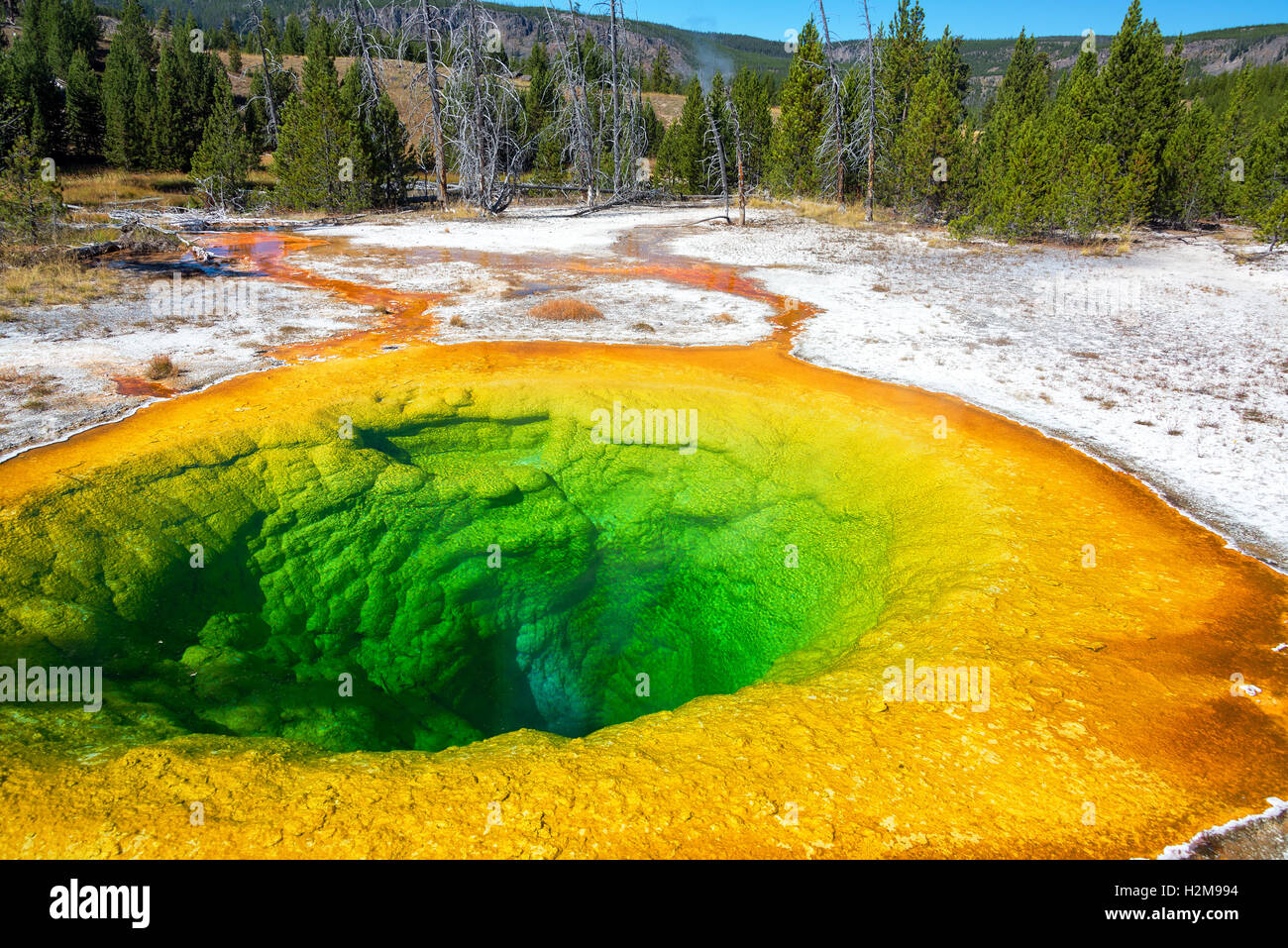 View of the Morning Glory Pool in Yellowstone National Park Stock Photo