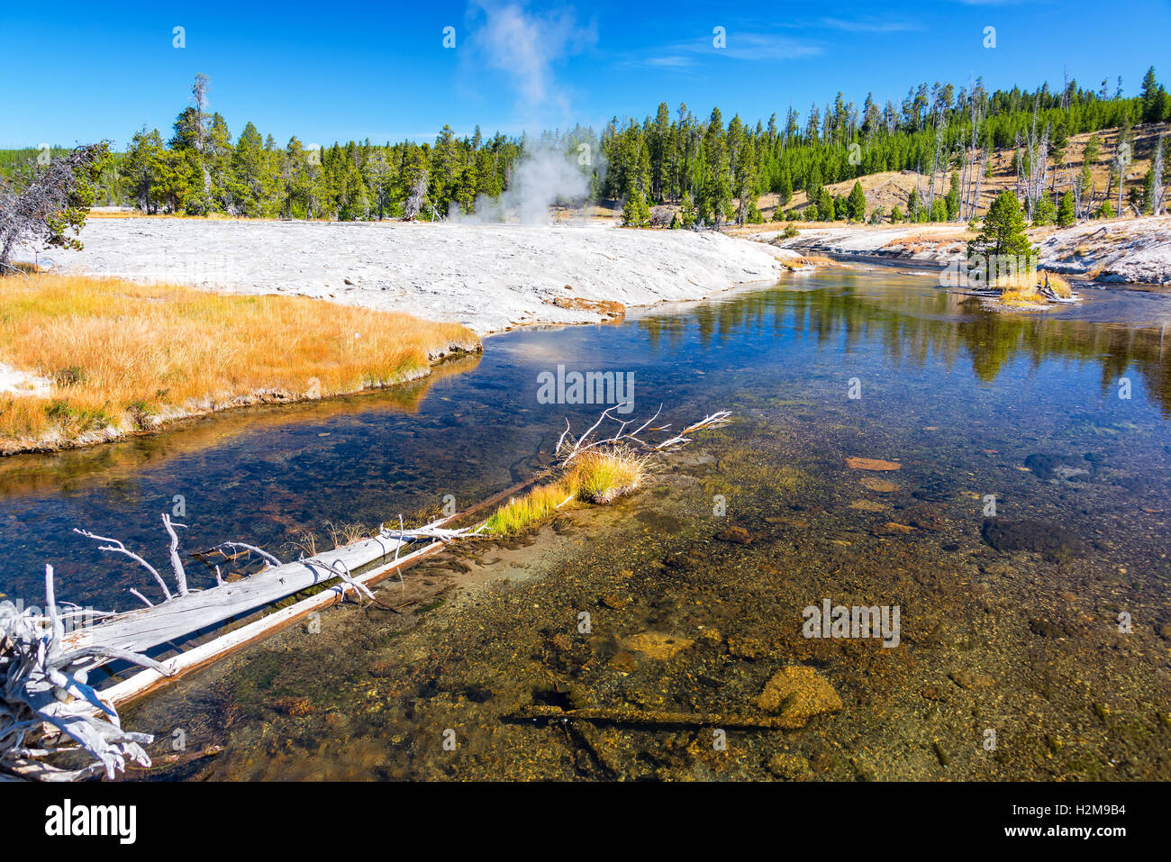 Firehole River with a steaming geyser in the background in Yellowstone National Park Stock Photo