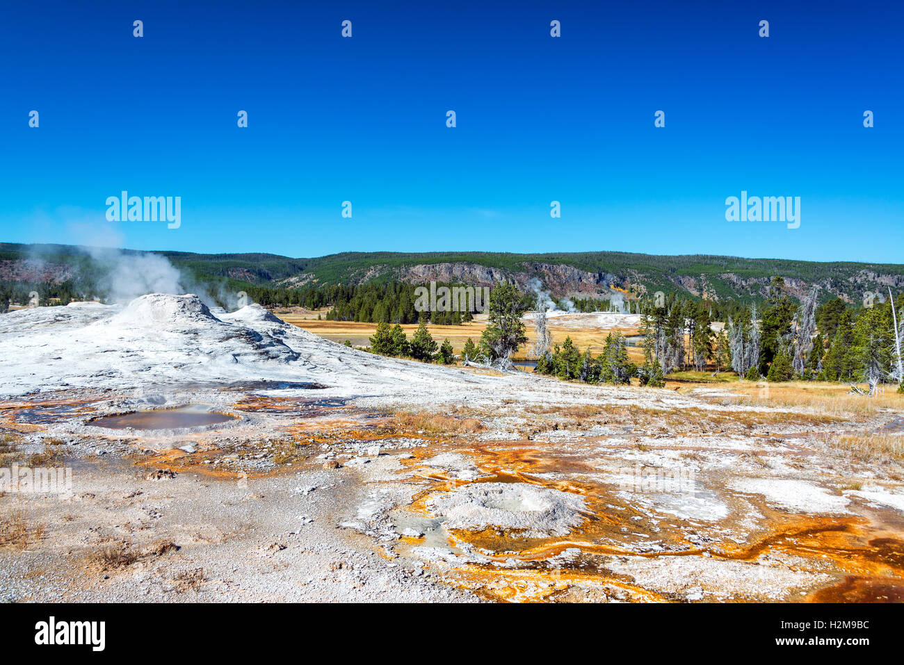 Geyser and landscape the Upper Geyser Basin in Yellowstone National Park Stock Photo