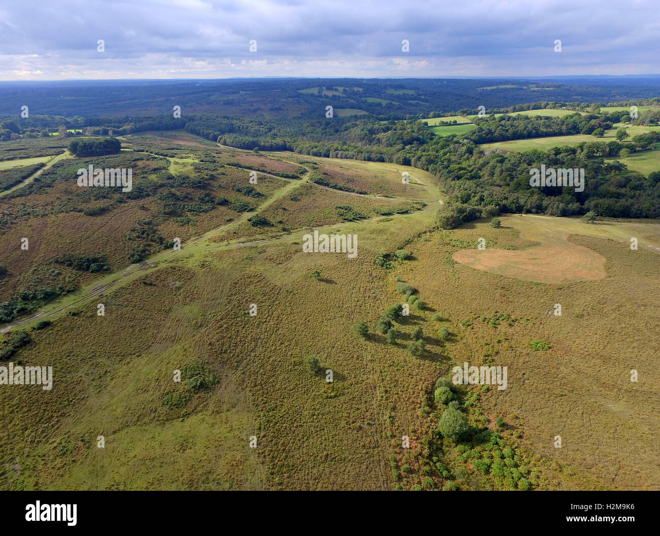 Aerial view of Ashdown Forest, home of Winnie The Pooh, East Sussex