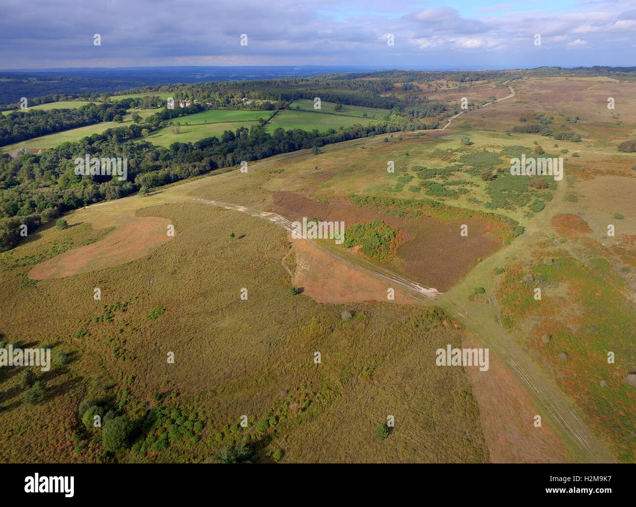 Aerial view of Ashdown Forest, home of Winnie The Pooh, East Sussex