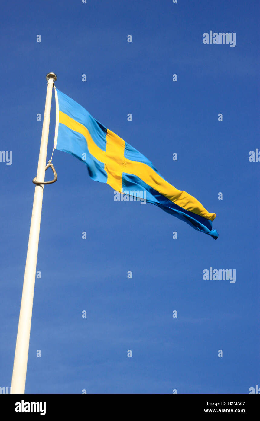 European Union International flags in Hull against a blue sky with