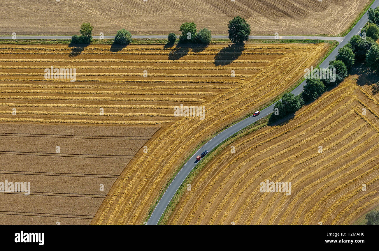 Aerial picture, road fork, road crossroad, harvested fields, country roads, curve, Welver, the Lower Rhine, Stock Photo