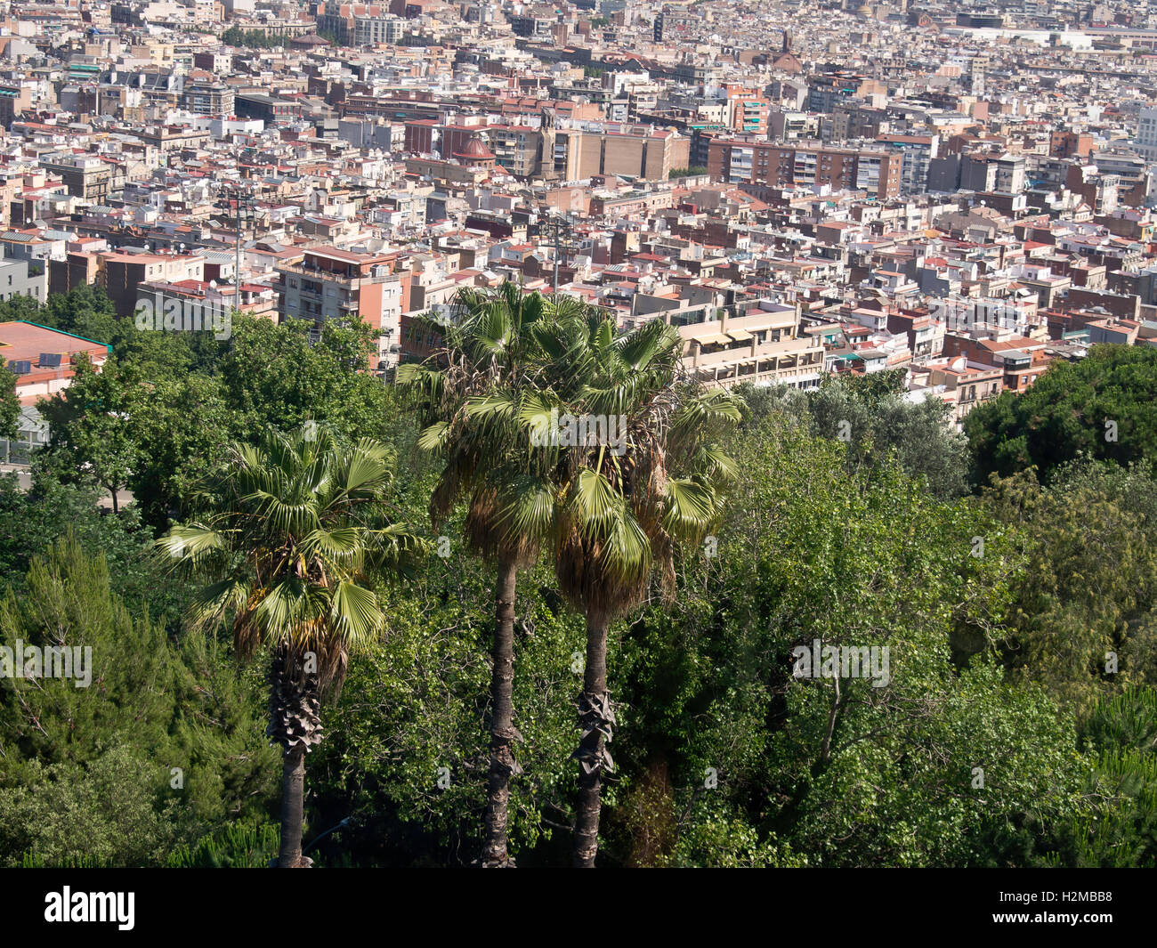 the city of barcelona in spain Stock Photo - Alamy