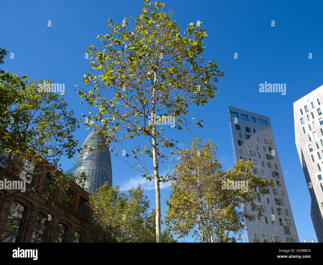the city of barcelona in spain Stock Photo - Alamy