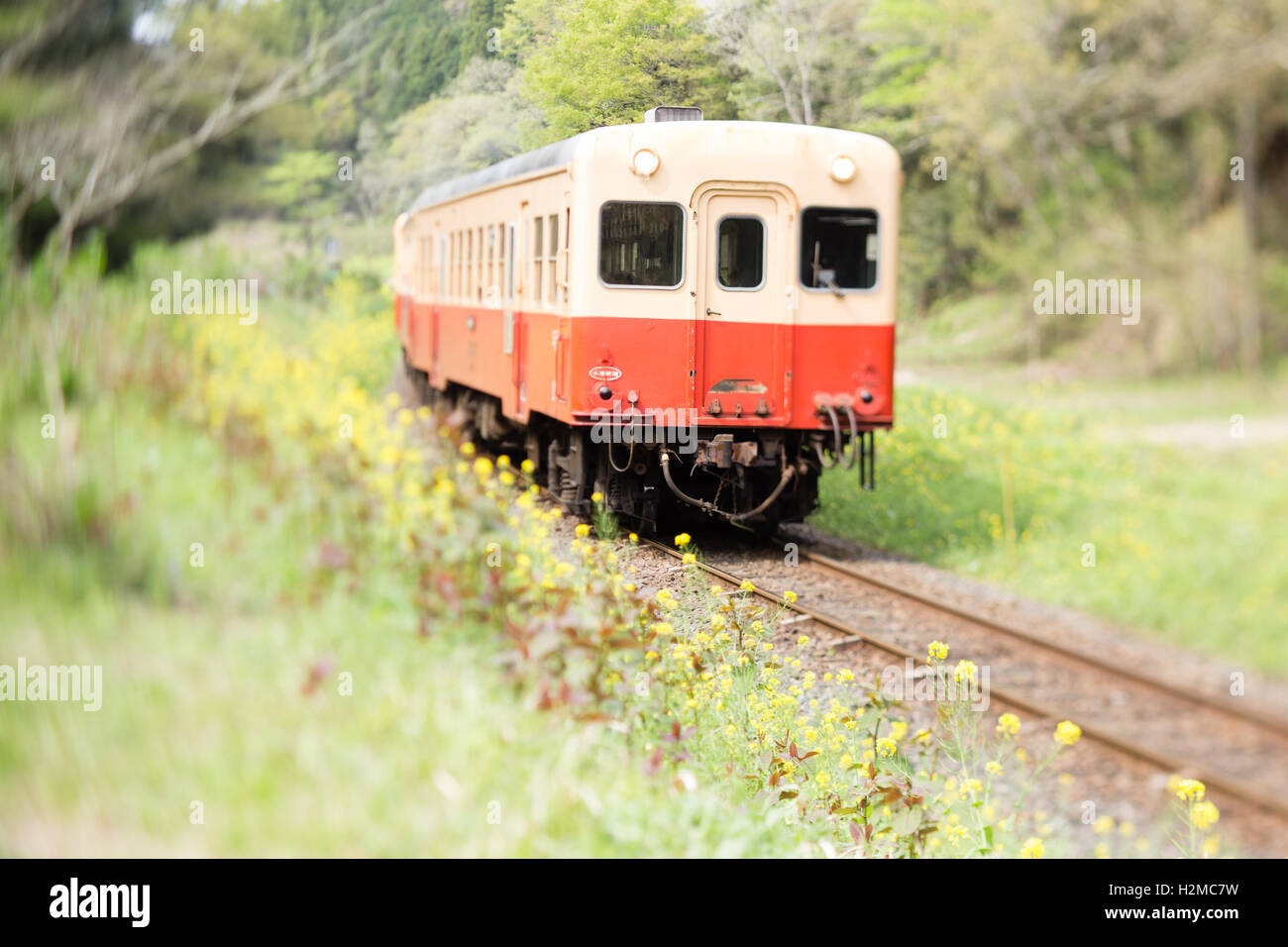 Tilt-shift view of Kominato Railway train, Chiba Prefecture, Japan Stock Photo