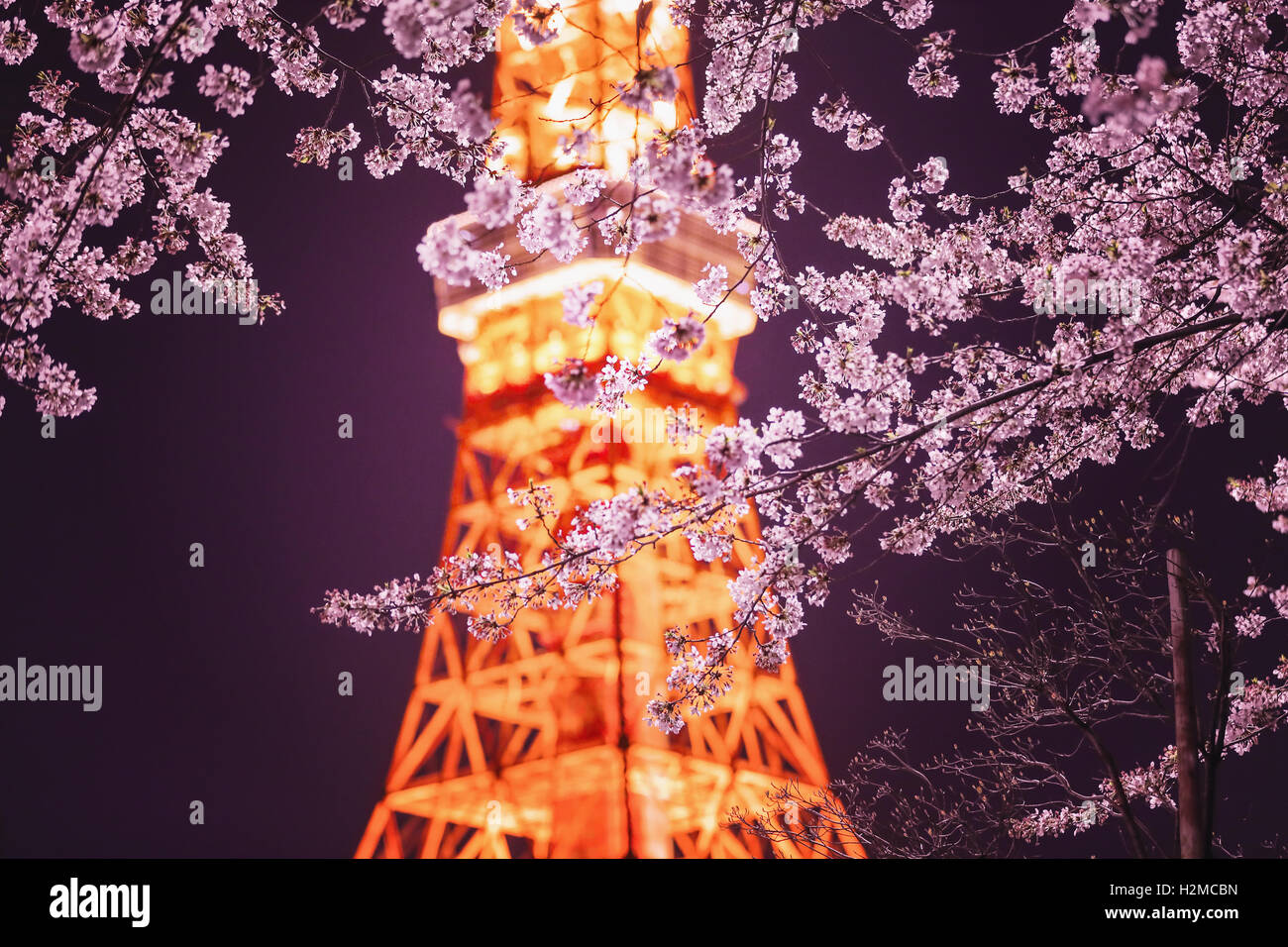 Cherry blossoms and Tokyo tower Stock Photo Alamy