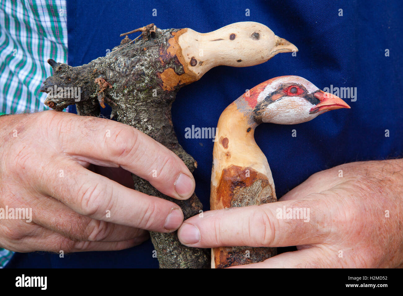 A gamne fair and a man holds carved wooden tops for canes and walking sticks made in the shape of the heads of birds and wild animals from the country. Stock Photo