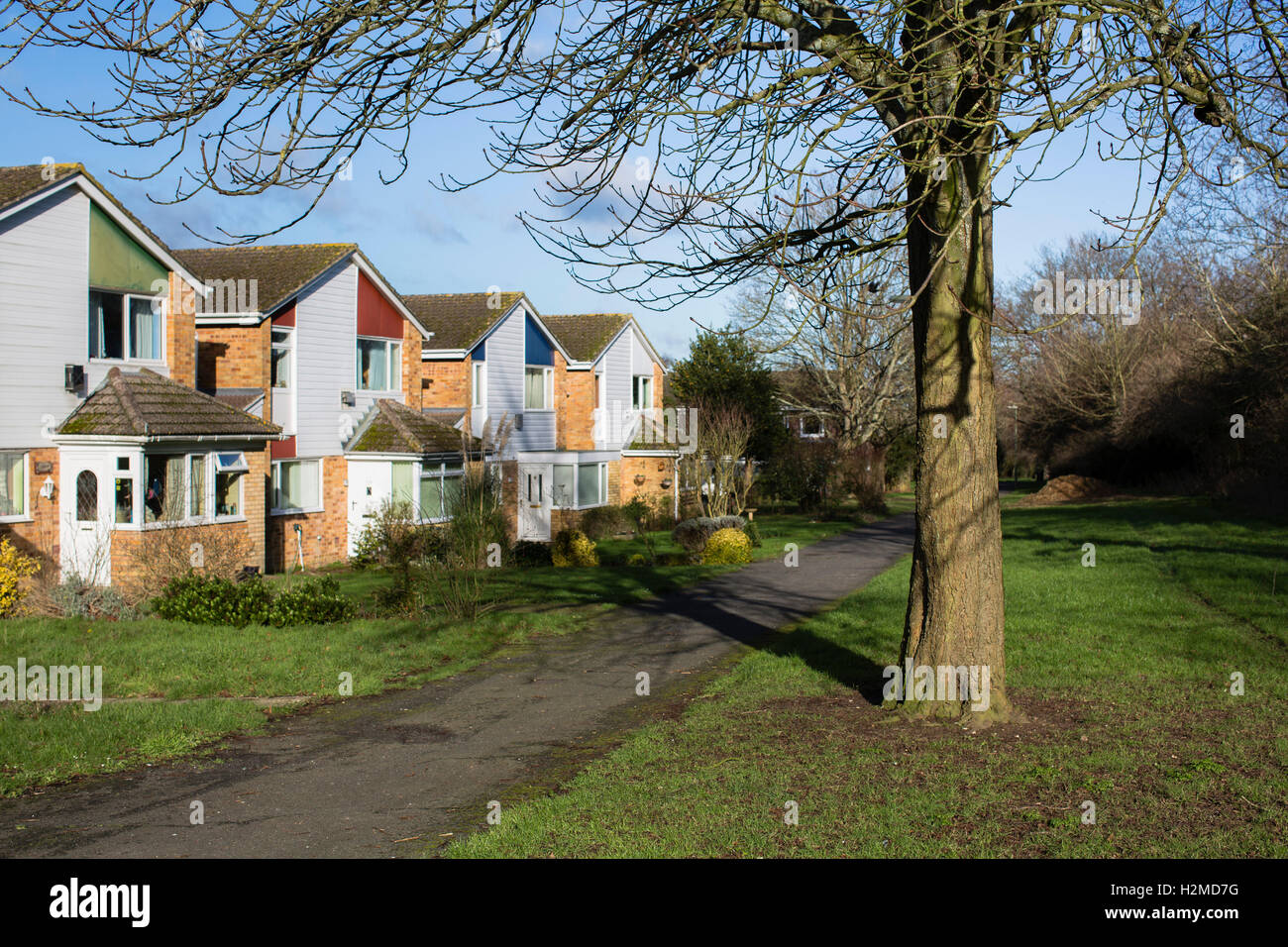 A housing estate in the Uk town of Basingstoke with leafless winter trees casting shadows across the buildings and grass. Stock Photo