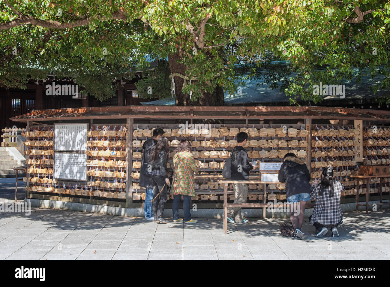 People hanging prayer tablets at the Shinto Meiji Jingu Shrine,Shibuya-Ku,Tokyo,Japan Stock Photo