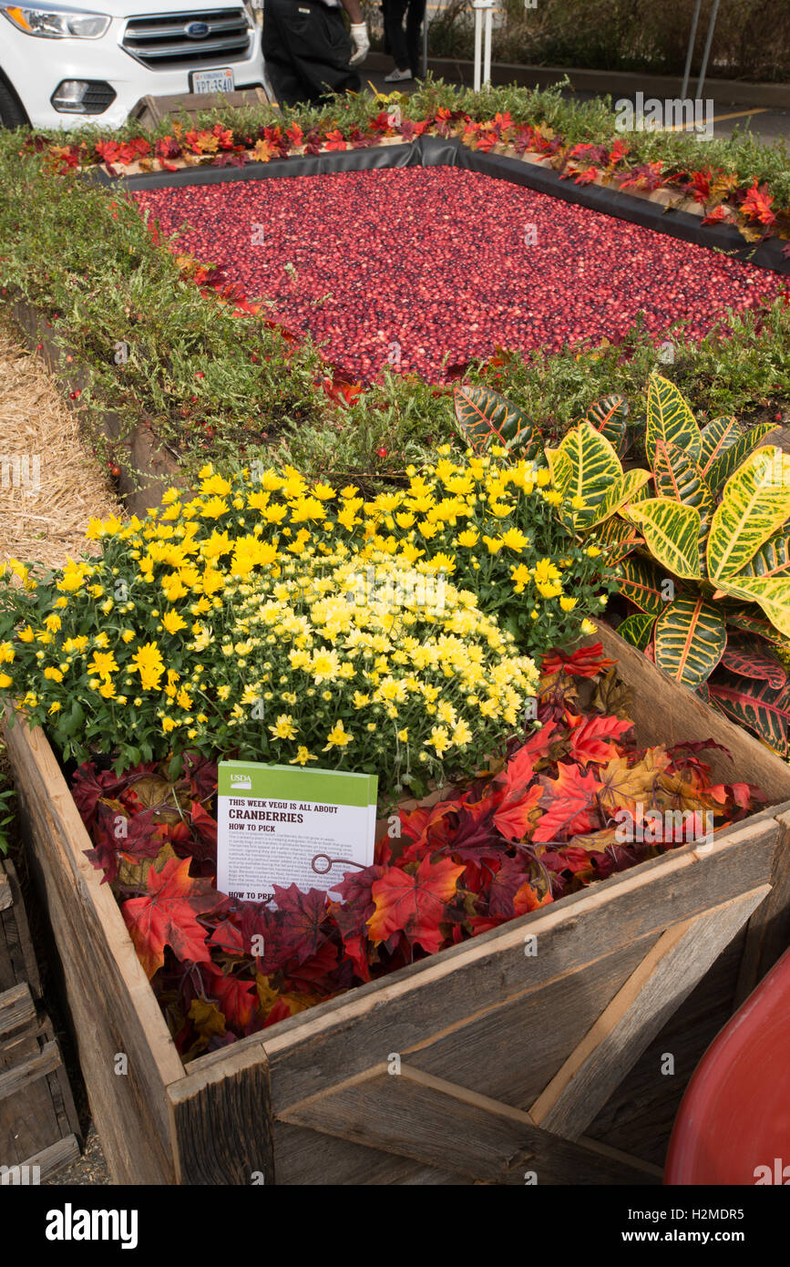 Ocean spray cranberries hires stock photography and images Alamy