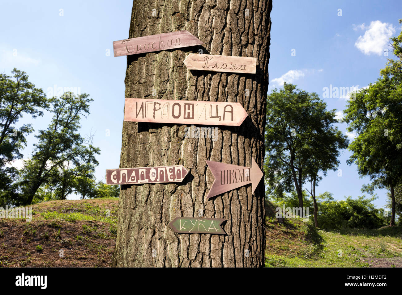 Tree in the woods with signs in Serbian language on it Stock Photo - Alamy